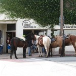horses tied up outside coffee shop
