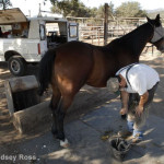 PRACTICAL ASSIGNMENT #3: POV (FOUR PERSPECTIVES)