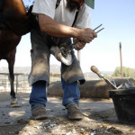 PRACTICAL ASSIGNMENT #3: POV (FOUR PERSPECTIVES)