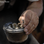 PRACTICAL ASSIGNMENT #3: POV (FOUR PERSPECTIVES)