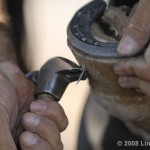 PRACTICAL ASSIGNMENT #3: POV (FOUR PERSPECTIVES)