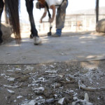 PRACTICAL ASSIGNMENT #3: POV (FOUR PERSPECTIVES)