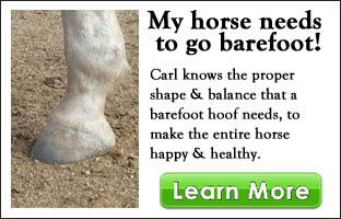 barefoot hoof care intro