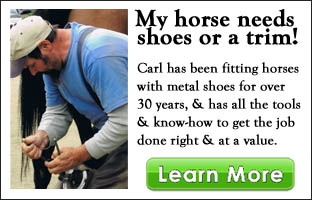 traditional horse shoeing intro