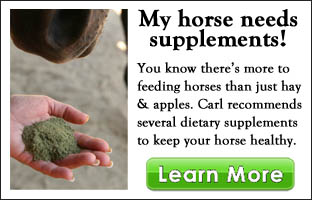 horse health supplements intro
